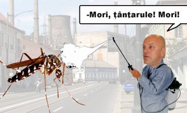 Dezinsecție majoră în Reșița: atenție la pulverizări de insecticid!