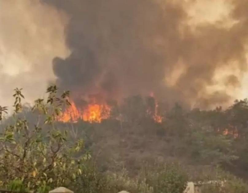 RESITA.ALERTA DE GRADUL ZERO! INCENDIU IMENS LA PORTILE ORASULUI!