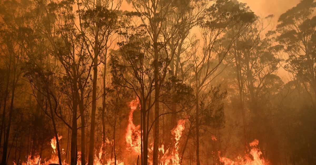 TRAGEDIE  LA SECU! BATRAN CARBONIZAT IN CASA ARSA!