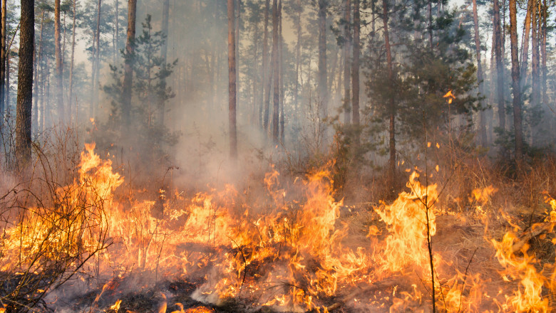 Județul Caraș-Severin, pustiit de incendii! Sute de hectare sub flăcări!