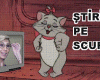 STIRI PE SCURT.FOARTE PE SCURT.SI PUTIN UMOR!!!