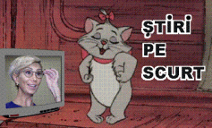 STIRI PE SCURT.FOARTE PE SCURT.SI PUTIN UMOR!!!