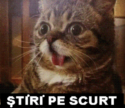STIRI PE SCURT.FOARTE PE SCURT.SI PUTIN UMOR!
