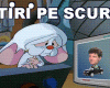 STIRI PE SCURT.FOARTE PE SCURT.SI PUTIN UMOR!!!
