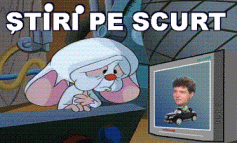 STIRI PE SCURT.FOARTE PE SCURT.SI PUTIN UMOR!!!