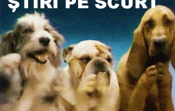 STIRI PE SCURT.FOARTE PE SCURT.SI PUTIN UMOR!