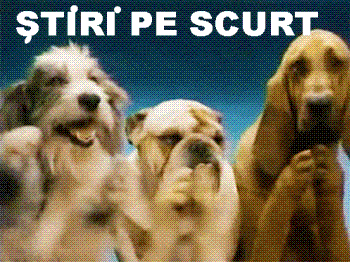STIRI PE SCURT.FOARTE PE SCURT.SI PUTIN UMOR!