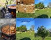 Senzațional la Crușovița! Gulaș în câmp, baloți de fân și povești cu ciobani – o experiență de neuitat la Cabana Dunăre!