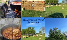 Senzațional la Crușovița! Gulaș în câmp, baloți de fân și povești cu ciobani – o experiență de neuitat la Cabana Dunăre!
