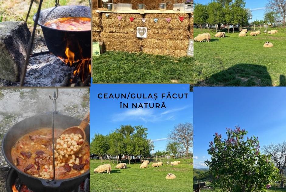 Senzațional la Crușovița! Gulaș în câmp, baloți de fân și povești cu ciobani – o experiență de neuitat la Cabana Dunăre!