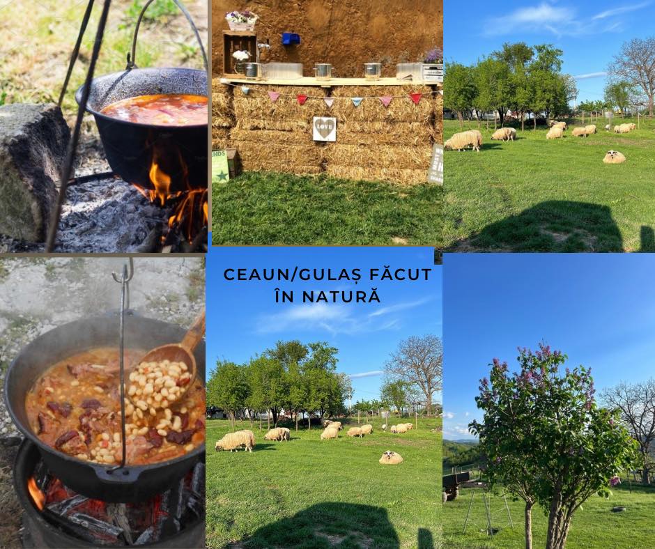 Senzațional la Crușovița! Gulaș în câmp, baloți de fân și povești cu ciobani – o experiență de neuitat la Cabana Dunăre!