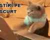 STIRI PE SCURT.FOARTE PE SCURT.SI PUTIN UMOR!!!