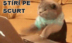 STIRI PE SCURT.FOARTE PE SCURT.SI PUTIN UMOR!!!
