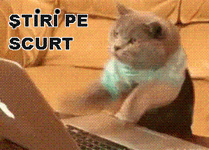 STIRI PE SCURT.FOARTE PE SCURT.SI PUTIN UMOR!!!