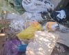 Ajunge cu nesimțirea! Răbdarea administrației din Moldova Nouă, pusă la grea încercare de unii cetățeni iresponsabili
