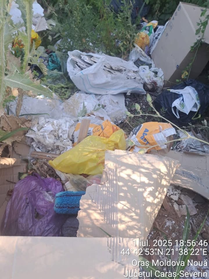 Ajunge cu nesimțirea! Răbdarea administrației din Moldova Nouă, pusă la grea încercare de unii cetățeni iresponsabili