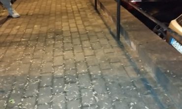 RESITA.„Spărgătorii de semințe” — campionii mizeriei urbane, sancționați prea târziu și prea puțin