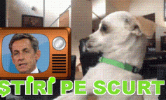 STIRI PE SCURT.FOARTE PE SCURT.SI PUTIN UMOR!!
