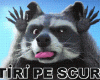 STIRI PE SCURT.FOARTE PE SCURT.SI PUTIN UMOR!!!