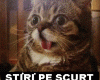 STIRI PE SCURT.FOARTE PE SCURT.SI PUTIN UMOR!