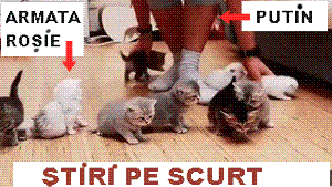 STIRI PE SCURT.FOARTE PE SCURT.SI PUTIN UMOR!!!