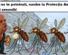 Țânțarii nu au nicio șansă! În Reșița începe marea dezinsecție din iulie