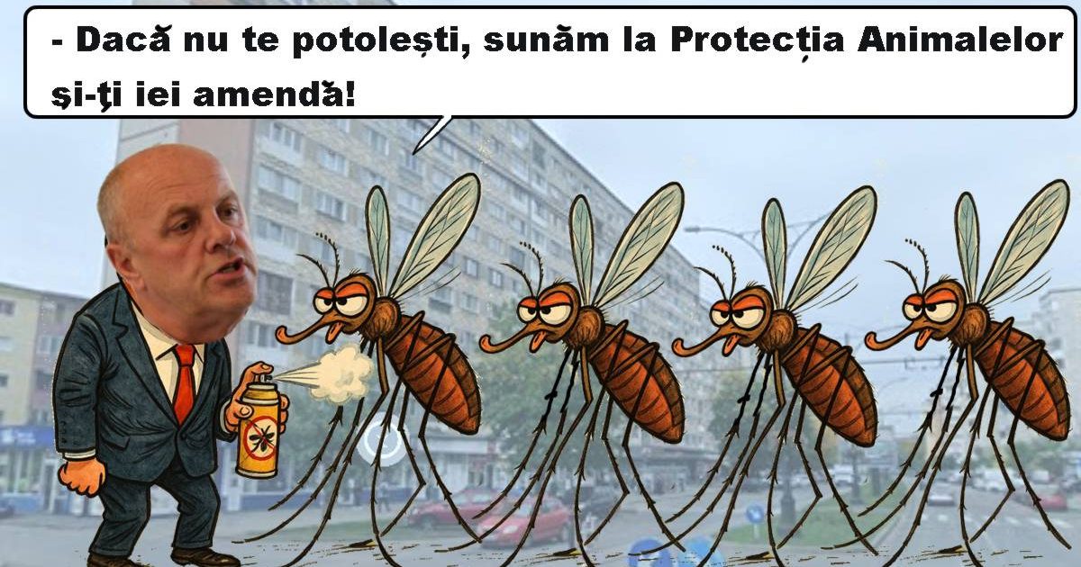Țânțarii nu au nicio șansă! În Reșița începe marea dezinsecție din iulie