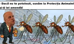 Țânțarii nu au nicio șansă! În Reșița începe marea dezinsecție din iulie