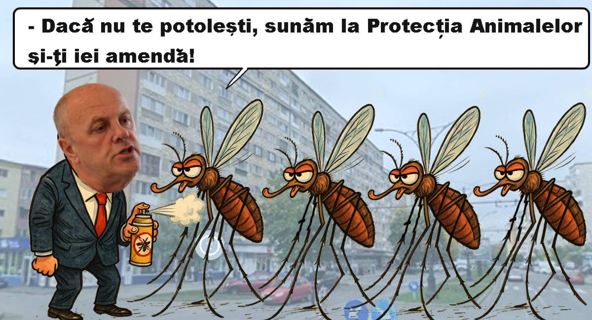 Țânțarii nu au nicio șansă! În Reșița începe marea dezinsecție din iulie