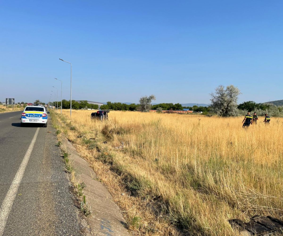 ACCIDENT MISTERIOS LA MOLDOVA NOUĂ! ȘOFER DISPĂRUT, STÂLP RAS DIN TEMELII! CE SE ASCUNDE ÎN SPATELE IMPACTULUI?