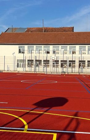 Revoluție în Sportul Școlar: Moldova Nouă aleargă spre viitor