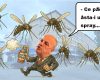 Lucrări de dezinsecție pe domeniul public la Reșița, între 25 și 29 august