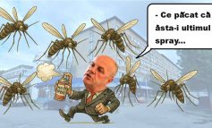 Lucrări de dezinsecție pe domeniul public la Reșița, între 25 și 29 august