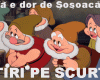 STIRI PE SCURT.FOARTE PE SCURT.SI PUTIN UMOR!!!