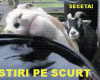 STIRI PE SCURT.FOARTE PE SCURT.SI PUTIN UMOR!!!