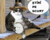 STIRI PE SCURT.FOARTE PE SCURT.SI PUTIN UMOR!!!