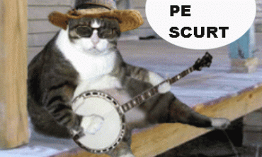 STIRI PE SCURT.FOARTE PE SCURT.SI PUTIN UMOR!!!