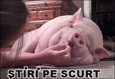 STIRI PE SCURT.FOARTE PE SCURT.SI PUTIN UMOR!!!