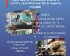Campanie de sterilizări gratuite la Oravița – 6-7 septembrie 2025