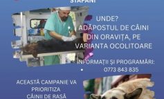Campanie de sterilizări gratuite la Oravița – 6-7 septembrie 2025