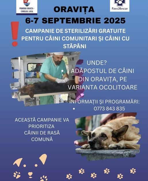 Campanie de sterilizări gratuite la Oravița – 6-7 septembrie 2025