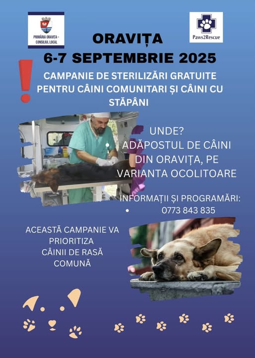 Campanie de sterilizări gratuite la Oravița – 6-7 septembrie 2025