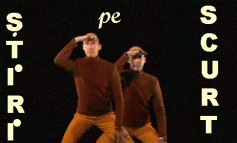 STIRI PE SCURT.FOARTE PE SCURT.SI PUTIN UMOR!!!