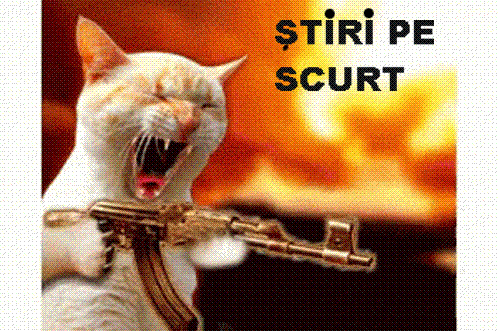 STIRI PE SCURT.FOARTE PE SCURT.SI PUTIN UMOR!!!