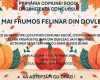 Festivalul Dovleacului la Socol — tradiție, culoare și voie bună!