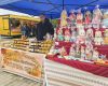 Arome, zâmbete și competiții pe faleză: Târgul de Toamnă de la Moldova Nouă a început în forță!