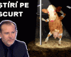 STIRI PE SCURT.FOARTE PE SCURT.SI PUTIN UMOR!!!