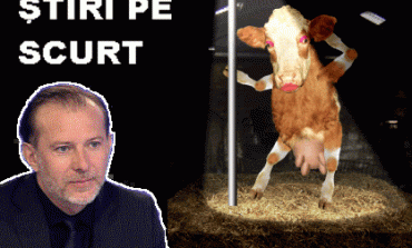 STIRI PE SCURT.FOARTE PE SCURT.SI PUTIN UMOR!!!