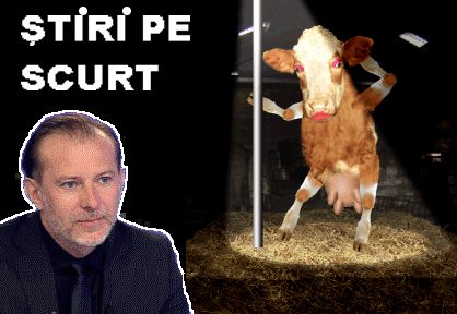 STIRI PE SCURT.FOARTE PE SCURT.SI PUTIN UMOR!!!