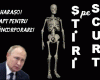 STIRI PE SCURT.FOARTE PE SCURT.SI PUTIN UMOR!